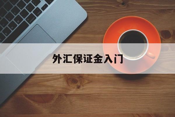 外汇保证金入门(外汇保证金交易流程图)